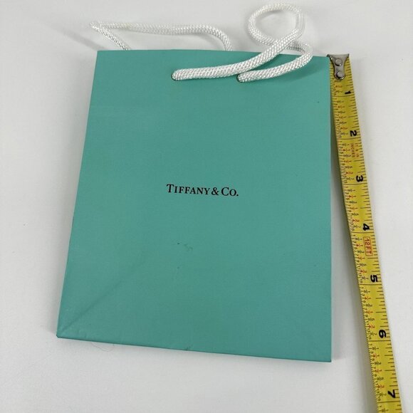 Tiffany & Co. Small Bag - Picture 10 of 10
